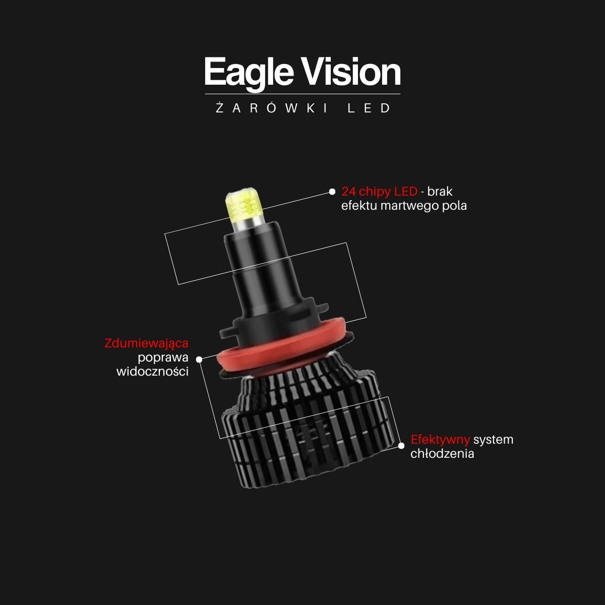 000b79b5291a78bf1f0fbc31f3d8d5c7